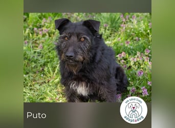 Pluto 156420 sucht ein zu Hause