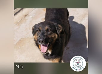 Nia – großes, aktives Mädchen