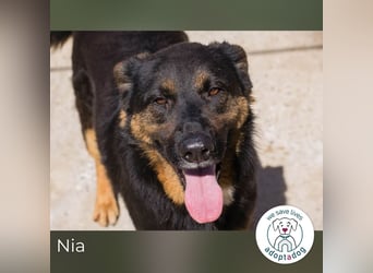 Nia – großes, aktives Mädchen