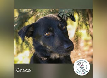 Grace: Sanfte Seele sucht Halt