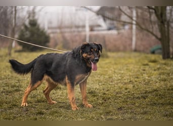 Nia: 50cm großes, aktives Mädchen