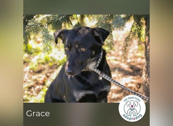 Grace: Sanfte Seele sucht Halt