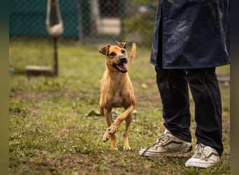 Maro: Energiebündel mit Herz