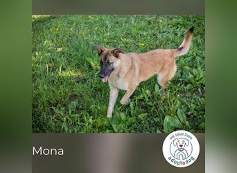 Mona: Fröhliche Spaßkanone