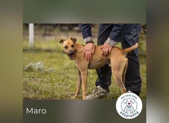 Maro: Energiebündel mit Herz
