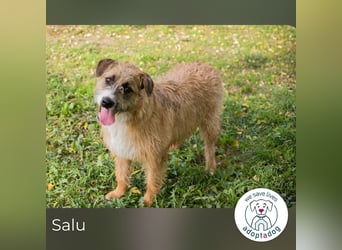 Salu: Leises Herz will wieder strahlen