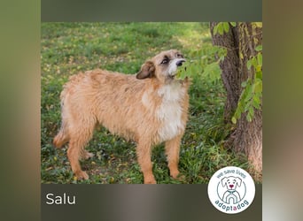 Salu: Leises Herz will wieder strahlen