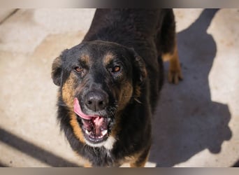 Nia: großes, aktives Mädchen