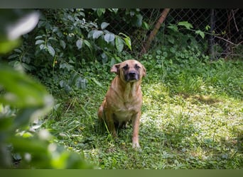 Greta: Liebenswerter Schatz