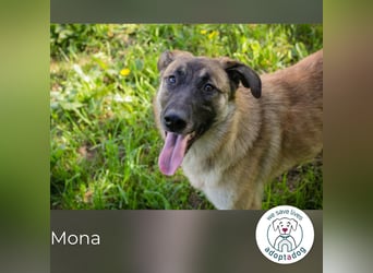Mona: Fröhliche Spaßkanone