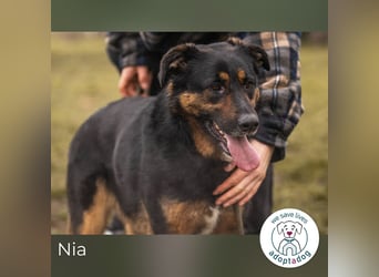 Nia – großes, aktives Mädchen