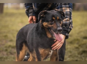 Nia: großes, aktives Mädchen