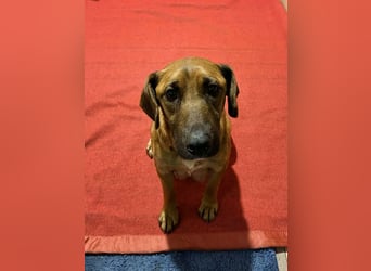 Hazel: Freundlich und voller Hoffnung