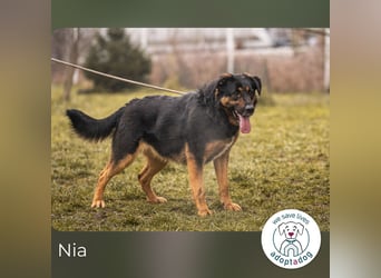Nia – großes, aktives Mädchen