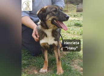 Hany – neugierig, frech und unwiderstehlich!