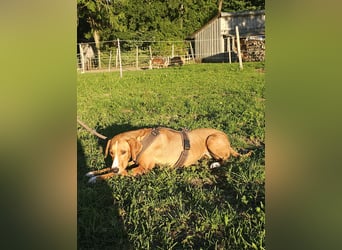 Lana – ein Leben im Radius von 80 Zentimetern!