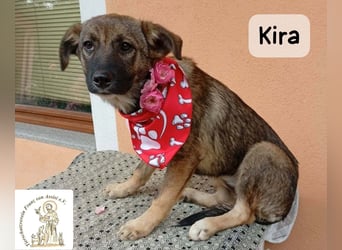 Kira – Warum nicht heute glücklich werden!