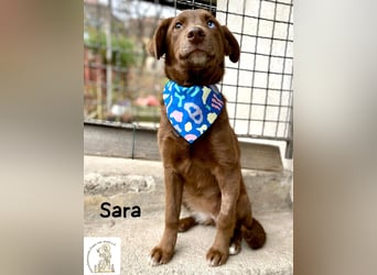 Sara – ein Blick, ein Statement, jede Menge Wow!