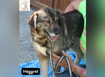 Maggret – ruhig, feinfühlig, zauberhaft und ein bisschen Magie auf vier Pfoten!