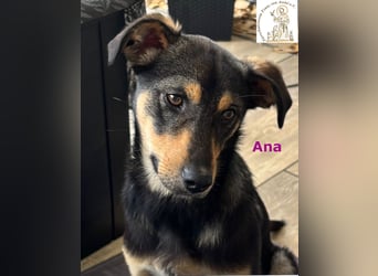 Ana – junges Mädchen, große Pläne!