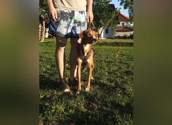 Lana – ein Leben im Radius von 80 Zentimetern!