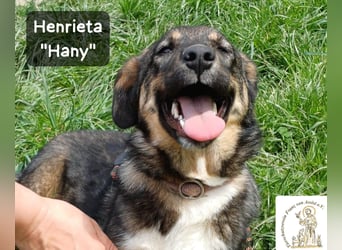 Hany – neugierig, frech und unwiderstehlich!
