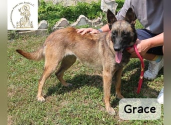 Grace – Köpfchen, Power und definitiv Pfeffer im Hintern!