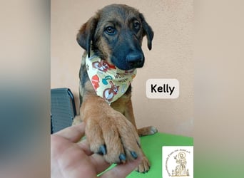 Kelly – Das Leben beginnt dort, wo Neugier auf Vertrauen trifft!