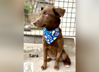 Sara – ein Blick, ein Statement, jede Menge Wow!