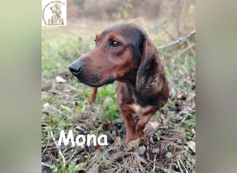 Mama Mona – sucht nicht irgendwen, sie sucht ihr Für-immer!