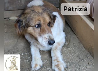 Patrizia – Glück bedeutet manchmal einfach, zusammen zu sein!