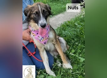 Nuts – manche Seelen tragen ihren Zauber ganz leise!