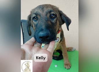 Kelly – Das Leben beginnt dort, wo Neugier auf Vertrauen trifft!