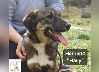 Hany – neugierig, frech und unwiderstehlich!