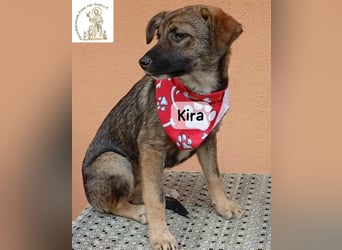 Kira – Warum nicht heute glücklich werden!