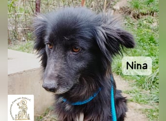 Nina – ein Platz zum Durchatmen gesucht!