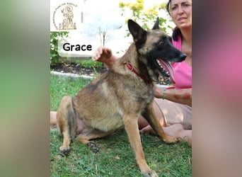 Grace – Köpfchen, Power und definitiv Pfeffer im Hintern!