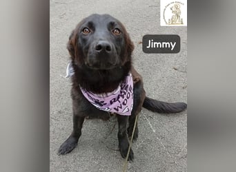 Jimmy – Aufgeben? Kam für ihn nie infrage!