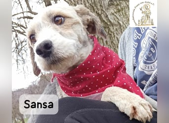 Sansa – der Neuanfang steht ihr einfach gut!