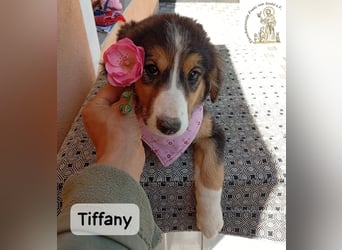 Tiffany – Man ist nie zu klein, um für jemanden die ganze Welt zu sein!
