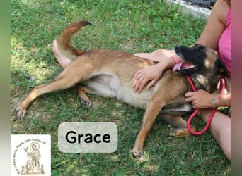 Grace – Köpfchen, Power und definitiv Pfeffer im Hintern!