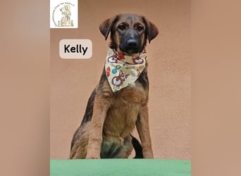 Kelly – Das Leben beginnt dort, wo Neugier auf Vertrauen trifft!