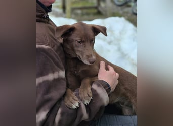 Sara – ein Blick, ein Statement, jede Menge Wow!