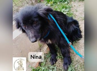 Nina – ein Platz zum Durchatmen gesucht!
