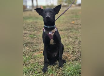 Aron❤️menschenverliebter Jungspund