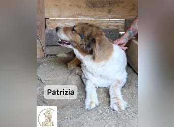 Patrizia – Glück bedeutet manchmal einfach, zusammen zu sein!