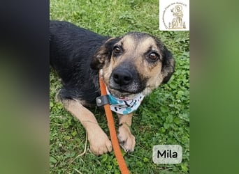 Mila – Heldinnen können auch manchmal ganz klein sein!