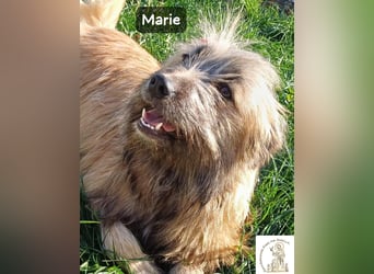 Marie – zu süß für diese Welt, aber kein bisschen aus Zucker!