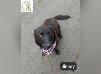 Jimmy – Aufgeben? Kam für ihn nie infrage!