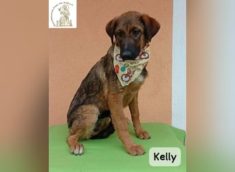Kelly – Das Leben beginnt dort, wo Neugier auf Vertrauen trifft!